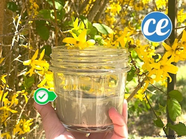 My Favorite Homemade Scouring Cream: Ready in 1 Minute, 100% Natural & More Effective Than Cif