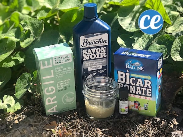 My Favorite Homemade Scouring Cream: Ready in 1 Minute, 100% Natural & More Effective Than Cif