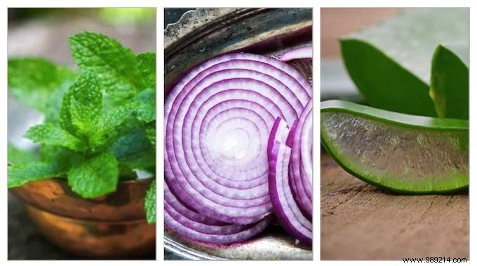 20 Everyday Pantry Staples That Boost Health, Skin, and Immunity