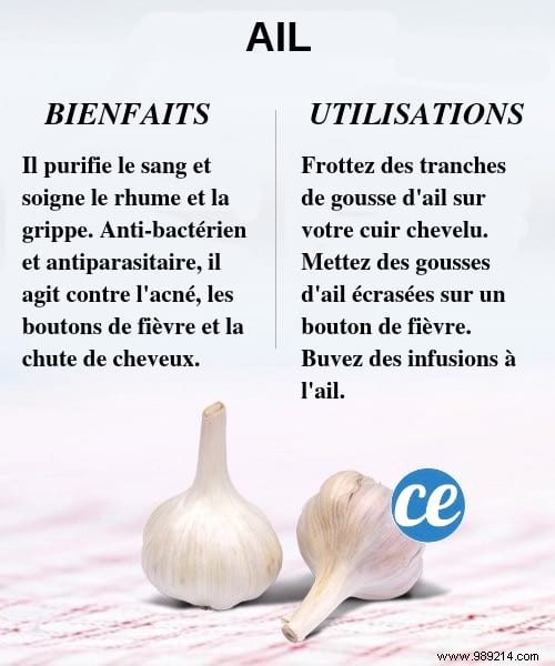 20 Everyday Pantry Staples That Boost Health, Skin, and Immunity