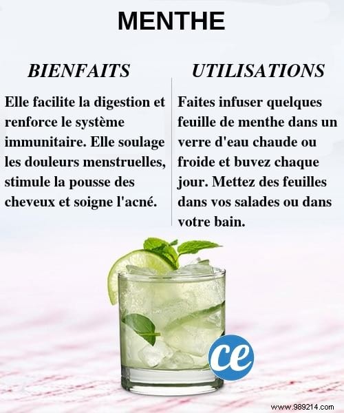 20 Everyday Pantry Staples That Boost Health, Skin, and Immunity