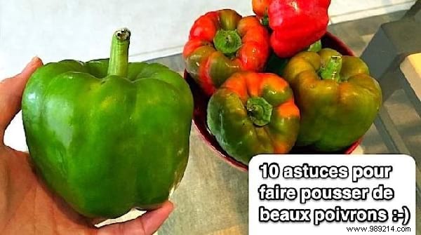 Top 10 Expert Home Tips of the Week: July 13, 2019