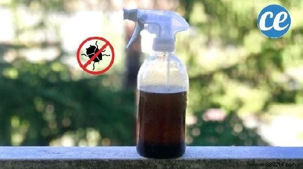 Top 10 Expert Home Tips of the Week: July 13, 2019