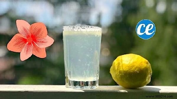 Top 10 Expert Home Tips of the Week: July 13, 2019