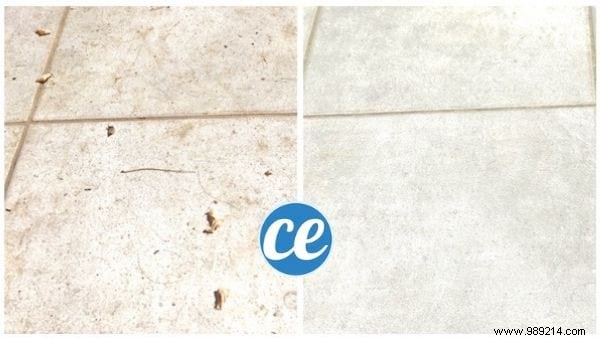 Effortless Natural Method to Remove Bird Droppings from Your Terrace