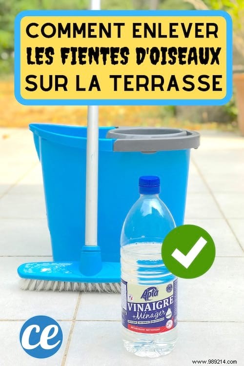 Effortless Natural Method to Remove Bird Droppings from Your Terrace