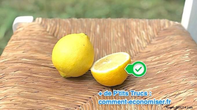 Pro Brocanteur s Secret: Restore Straw Chairs Easily with Lemon (Quick & Effective)