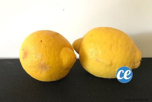 7 Proven Natural Tricks to Eliminate Stubborn Toilet Limescale