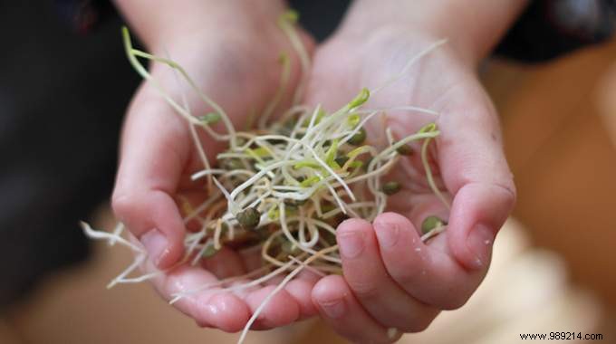 Expert Guide: Clean and Disinfect Your Seed Sprouter with Baking Soda