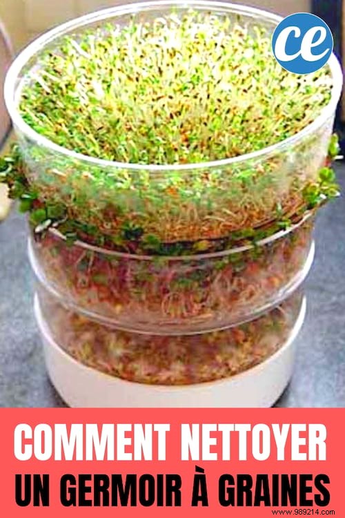 Expert Guide: Clean and Disinfect Your Seed Sprouter with Baking Soda