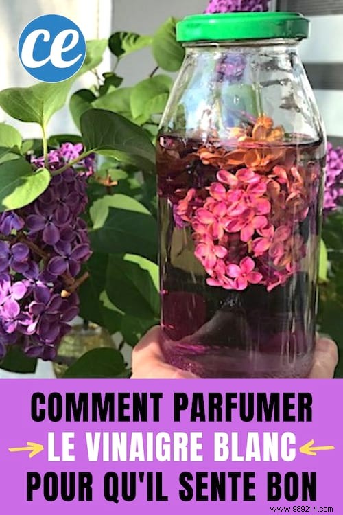 How to Infuse White Vinegar with Lilac for a Fresh, Natural Cleaning Scent