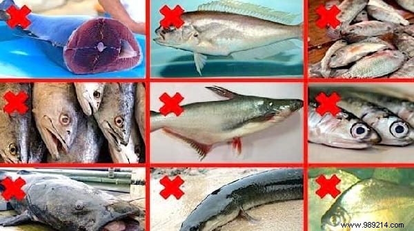 Top 10 Essential Life Tips of the Week: August 16, 2019