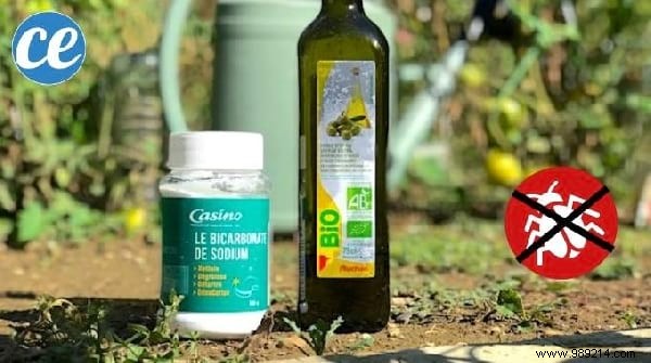 Top 10 Essential Life Tips of the Week: August 16, 2019