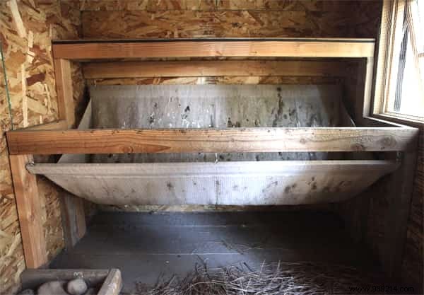 10 Proven DIY Tips for a Chicken Coop Your Hens Will Love – Happier Birds, More Eggs