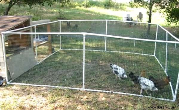10 Proven DIY Tips for a Chicken Coop Your Hens Will Love – Happier Birds, More Eggs