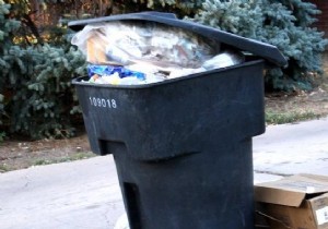 How to Easily Clean, Disinfect, and Deodorize Large Outdoor Trash Cans