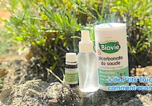 DIY Long-Lasting Lavender Air Freshener: Grandma s Proven Natural Recipe