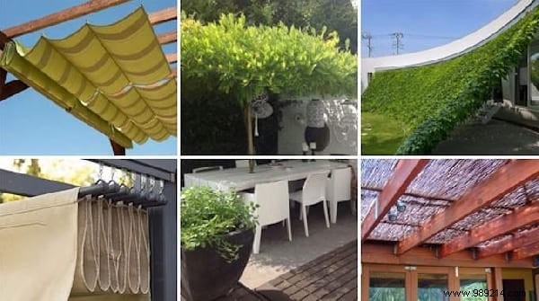 Top 10 Proven Home, Garden, and Summer Tips (July 27, 2019)