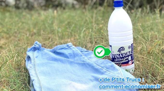Grandma s Proven Trick: Erase Stubborn Grass Stains with White Vinegar