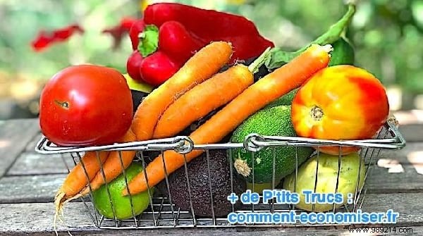 Top 10 Expert Home and Garden Tips: Week of July 20, 2019