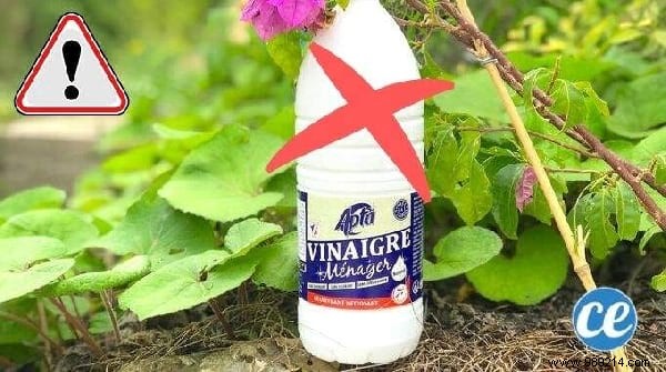 Top 10 Proven Weekly Life Hacks: Save on Gas, White Vinegar Secrets, and Clean Your Home in 30 Minutes