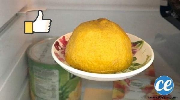 Top 10 Proven Life Hacks of the Week: September 13, 2019