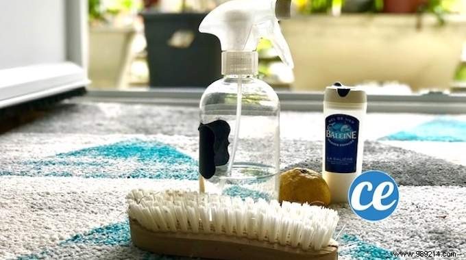 Grandma s Time-Tested Natural Recipe for Deep Cleaning Carpets