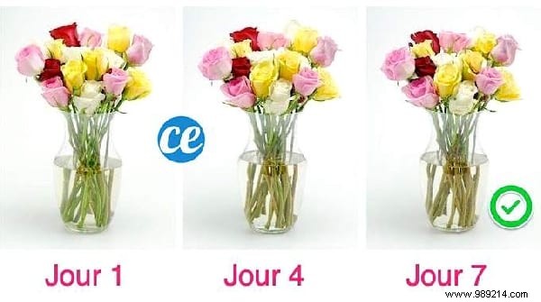 Top 10 Reader-Favorite Household Tips of the Week: September 7, 2019