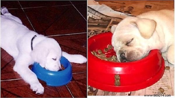 Top 10 Reader-Favorite Household Tips of the Week: September 7, 2019