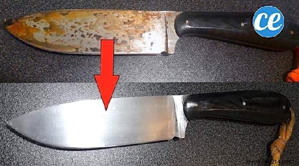 Top 10 Timeless Life Hacks: Best Tips of the Week (August 31, 2019)