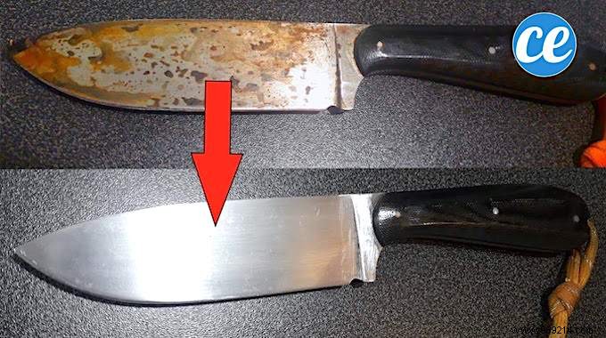 Revive Rusty, Stained, or Blackened Knife Blades: The Proven Lemon Water Trick for Like-New Shine