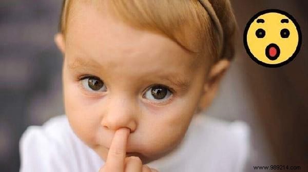 Top 10 Expert Life Hacks of the Week: Effortless Oven Cleaning, Spirulina Benefits, Upcycling Ideas & More