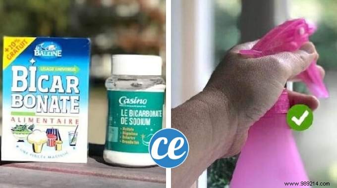 Top 10 Weekly Tips: Common French Mistakes, Castor Oil Hair Benefits, Shiny Hair Secrets & More