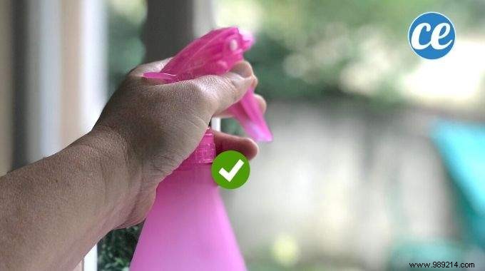 Streak-Free Windows: Grandmother s Proven Vinegar Spray and Newspaper Trick