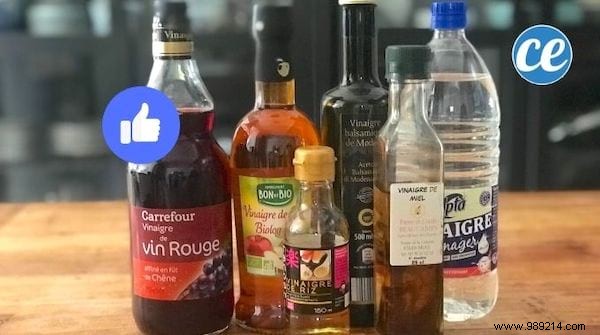 Top 10 Proven Weekly Tips: Store Vegetables Longer, Trim Belly Fat with Yoga, Spot Liars Instantly