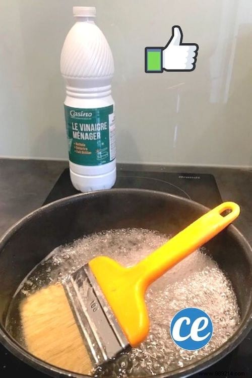 Revive Hardened Paint Brushes: The Proven Vinegar Trick for Soft Bristles