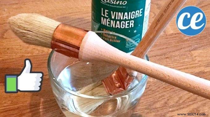 Revive Hardened Paint Brushes: The Proven Vinegar Trick for Soft Bristles