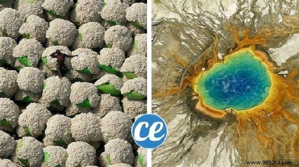 Top 10 Household Tips of the Week: Deep-Clean Toilets, Marie Kondo Folding, Chestnut Laundry Wash & More