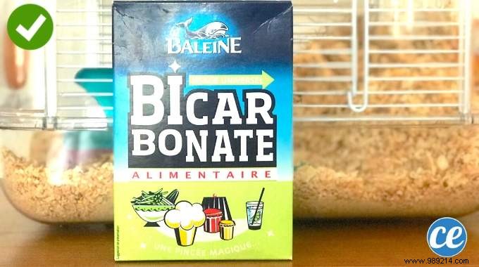 Vet-Approved Baking Soda Trick: Easily Clean Rabbit, Hamster, or Guinea Pig Cages