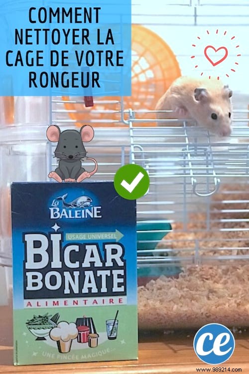 Vet-Approved Baking Soda Trick: Easily Clean Rabbit, Hamster, or Guinea Pig Cages