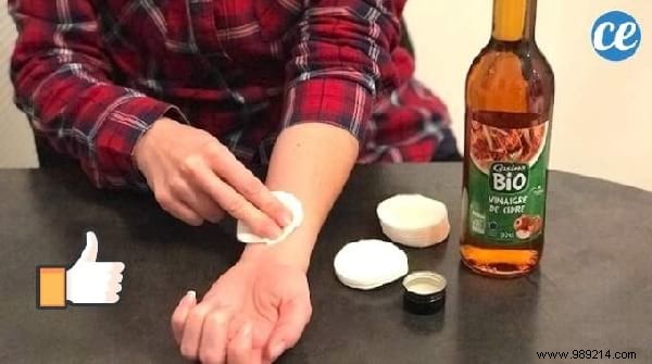 Top 10 Proven Home Tips: Restore Towel Softness, Hydrogen Peroxide Uses, Budget Decor Ideas & More