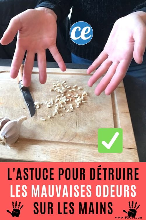 Eliminate Stubborn Garlic, Onion, and Fish Odors from Your Hands with This Proven Vinegar Trick