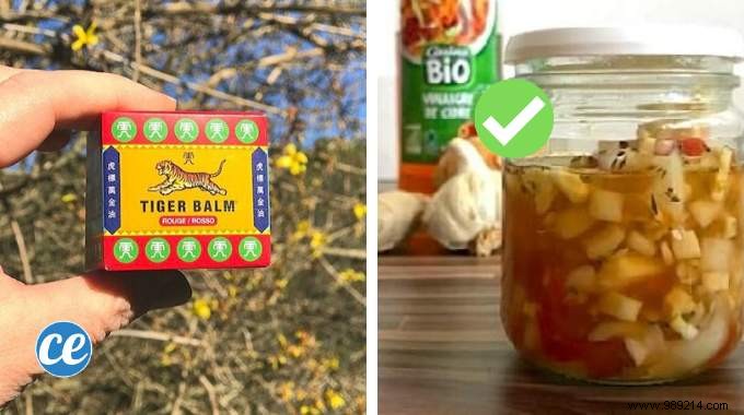 Top 10 Proven Home Remedies & Tips: Tiger Balm Uses, Natural Antibiotics, Solid Shampoo & More