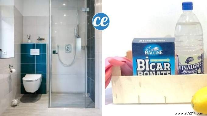 Top 10 Proven Home Tips: Effortless Shower Cleaning, Permanent Pee Smell Removal, Burnt Pan Rescue & More