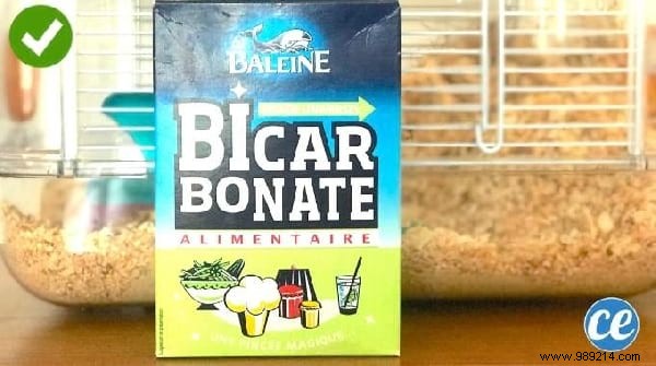 Top 10 Expert Tips: Easy Pet Cage Cleaning, Smart Home Savings, Free English Lessons & More