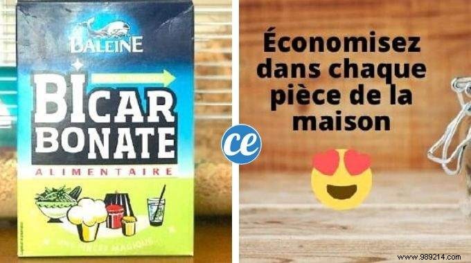 Top 10 Expert Tips: Easy Pet Cage Cleaning, Smart Home Savings, Free English Lessons & More