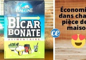 Top 10 Expert Tips: Easy Pet Cage Cleaning, Smart Home Savings, Free English Lessons & More