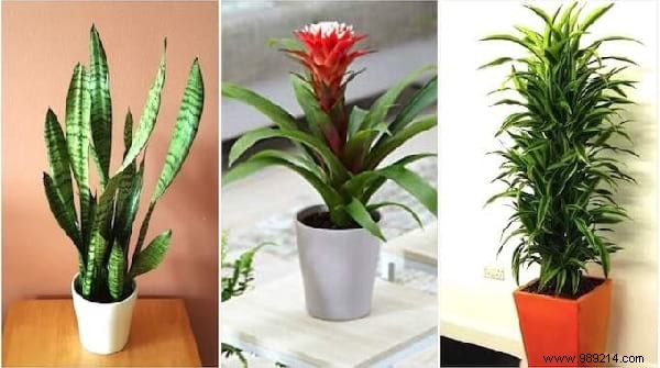 Top 10 Expert Tips: Easy Pet Cage Cleaning, Smart Home Savings, Free English Lessons & More