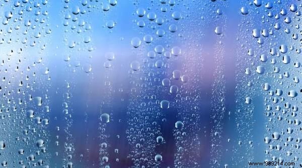 Top 10 Expert Tips: Easy Pet Cage Cleaning, Smart Home Savings, Free English Lessons & More