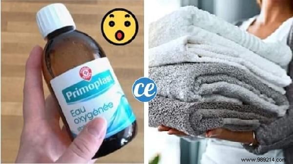 Top 10 Expert Tips: Easy Pet Cage Cleaning, Smart Home Savings, Free English Lessons & More